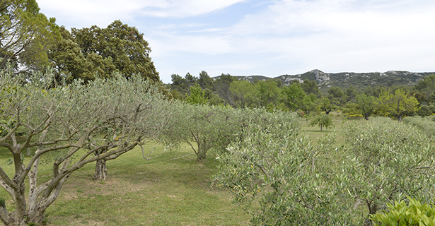 Circuits courts et recyclage - Les Jardins de Glanum