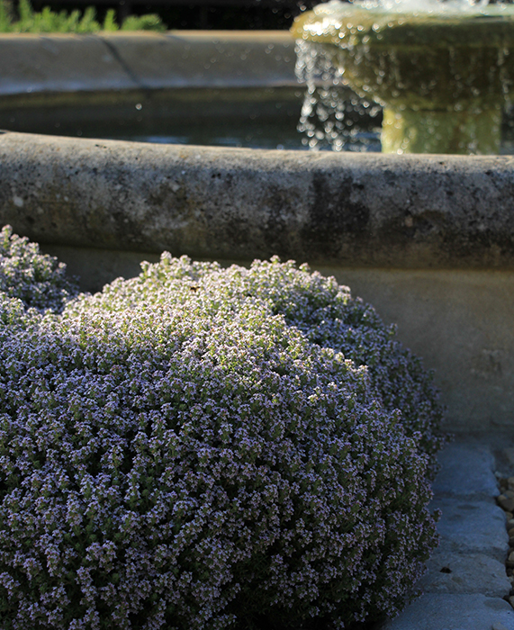 Imaginez… L’après-midi touche à sa fin, une brise délicate se lève - Les Jardins de Glanum