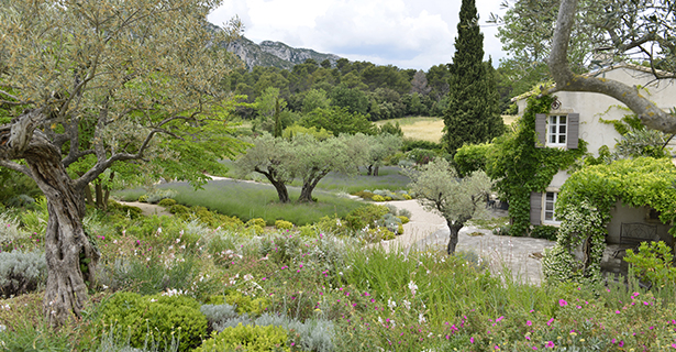 Le Jardin méditerranéen - Les Jardins de Glanum