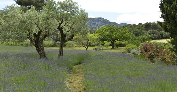 Le Jardin Provençal - Les Jardins de Glanum