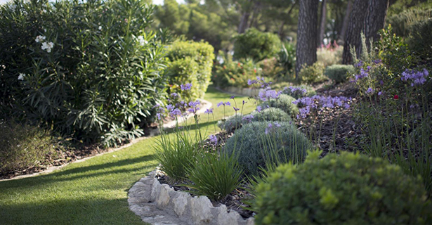 Le Jardin romantique - Les Jardins de Glanum