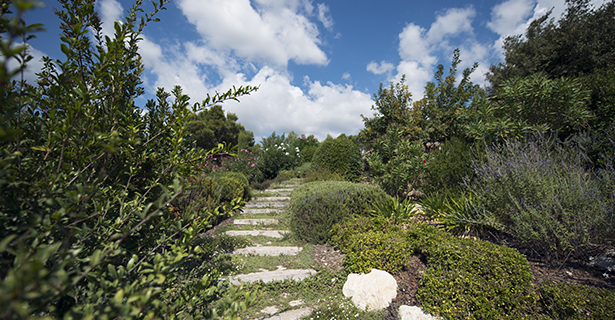Des traitements responsables - Les Jardins de Glanum